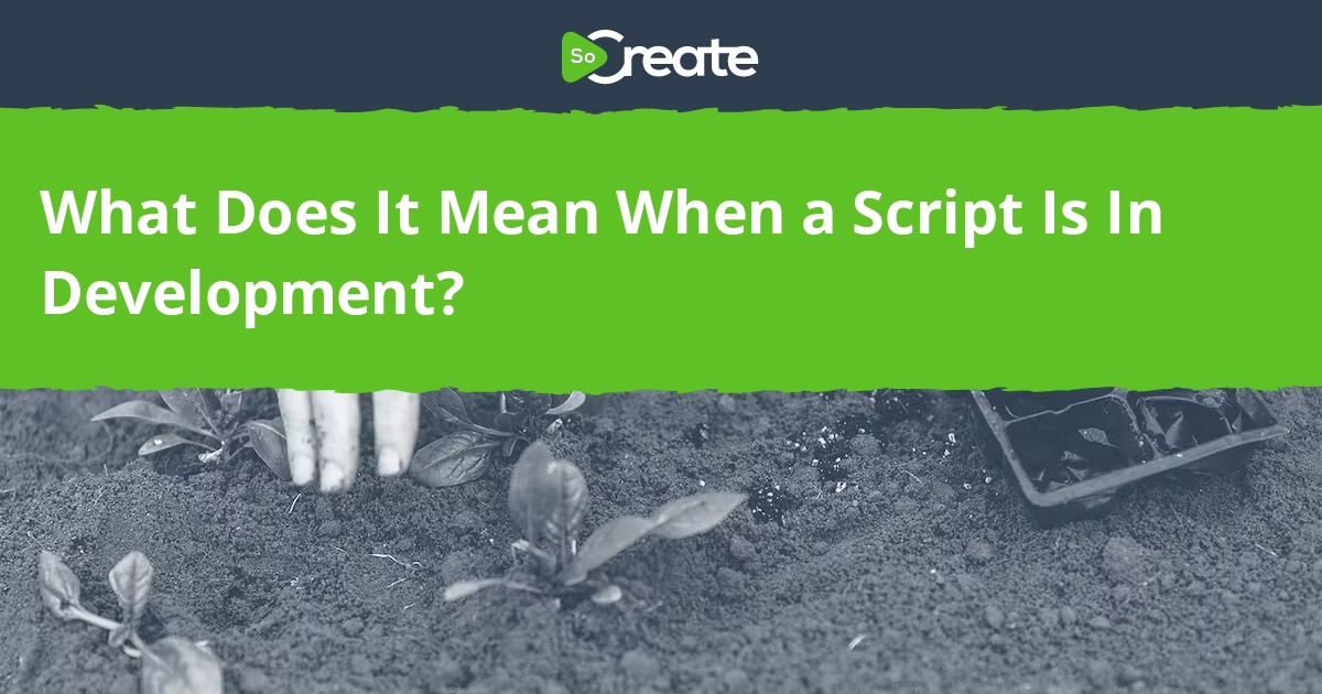 SoCreate - What Does It Mean When a Script Is In Development?